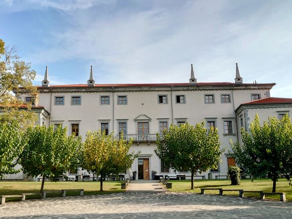 Foto: Modri Dirkač / Wikipedia.  