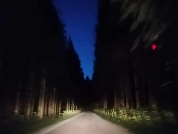 .  &copy;Foto: Blaž Kosovel