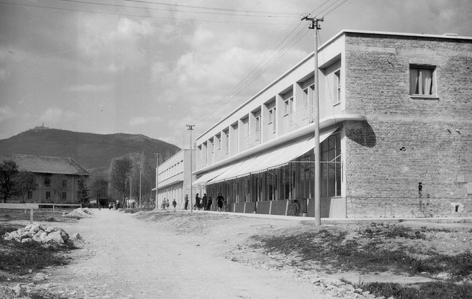 .  &copy;Foto Pavšič, hrani Goriški muzej Kromberk - Nova Gorica