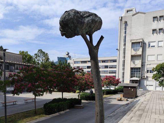 .  &copy;Foto: Blaž Kosovel