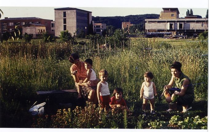 Na travniku za sodiščem..  