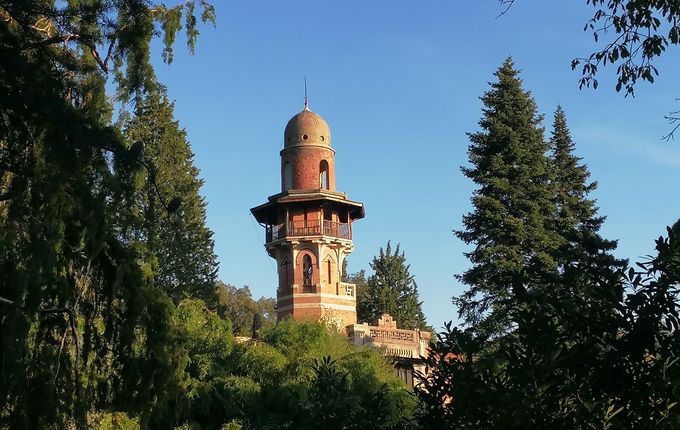 .  &copy;Foto: Blaž Kosovel