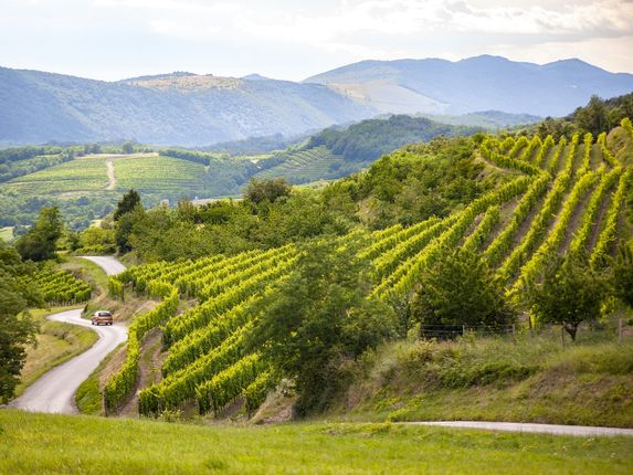 .  &copy;Foto: Daniel James Clarke, Zavod za turizem Nova Gorica in Vipavska dolina