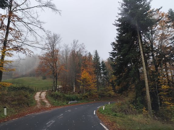 .  &copy;Foto: Blaž Kosovel