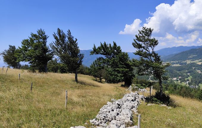 . Trnovo Forest foothills. &copy;Photo: Blaž Kosovel