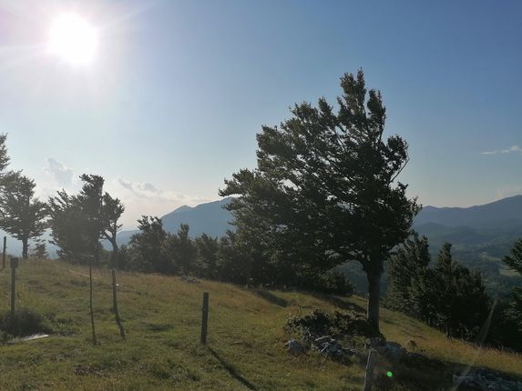 .  &copy;Foto: Blaž Kosovel