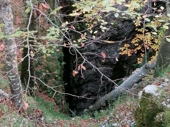 .  &copy;Photo: Blaž Kosovel