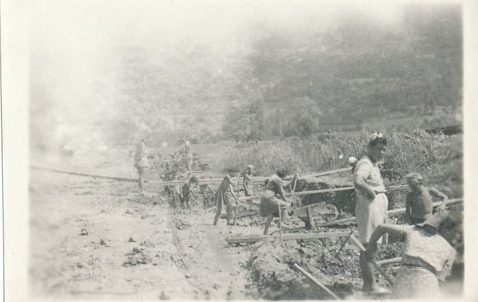 Vir: Goriški muzej.  