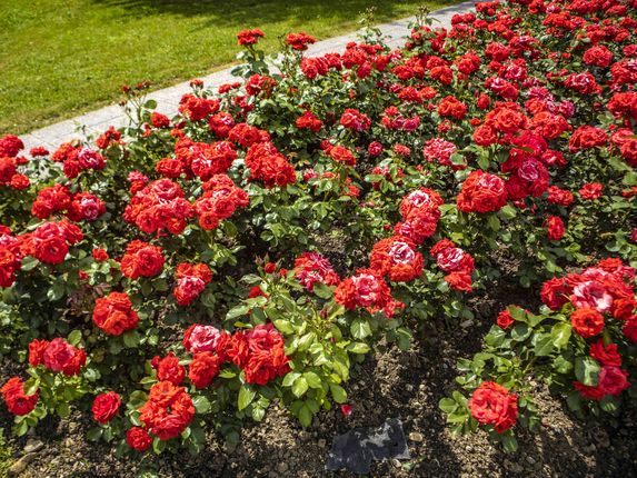 .  &copy;Foto: Blaž Kosovel