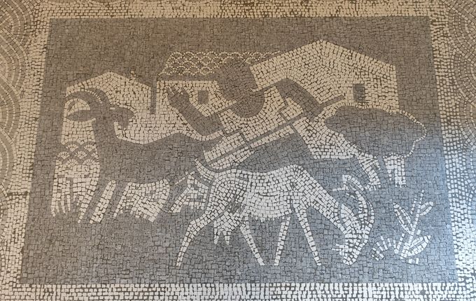  Alegorične motive je narisal Tone Žnidaršič (1923–2007), mozaike pa je izdelal Alfio Tambosso - Ultra. Atrij občine. Foto: Blaž Kosovel.  