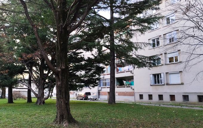 .  &copy;Foto: Blaž Kosovel