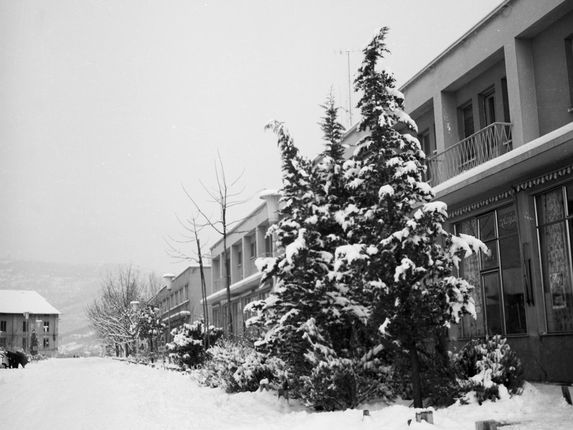 .  &copy;Foto Pavšič, conservata presso il Goriški muzej Kromberk - Nova Gorica.