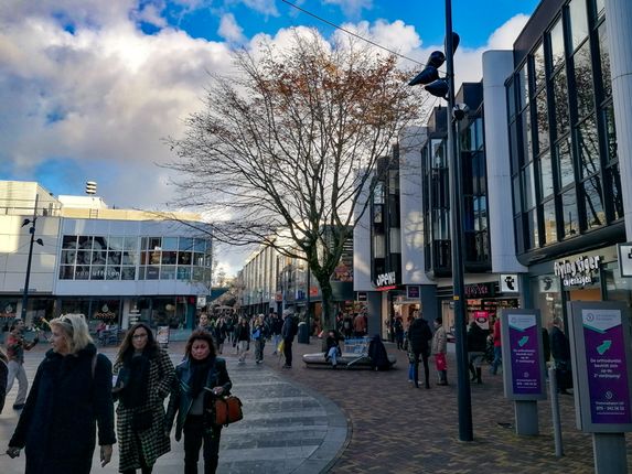 .  &copy;Photo: Blaž Kosovel