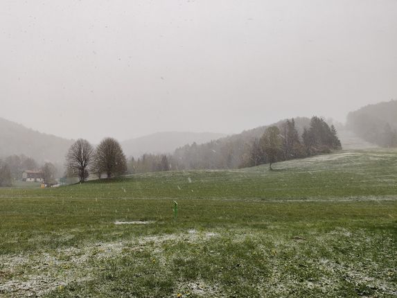 .  &copy;Foto: Blaž Kosovel