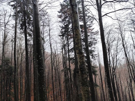 .  &copy;Foto: Blaž Kosovel