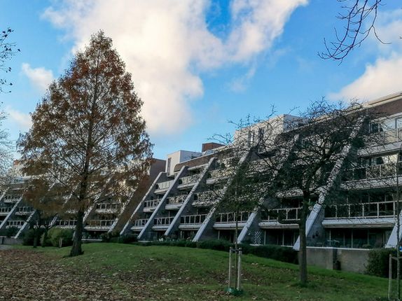 .  &copy;Photo: Blaž Kosovel