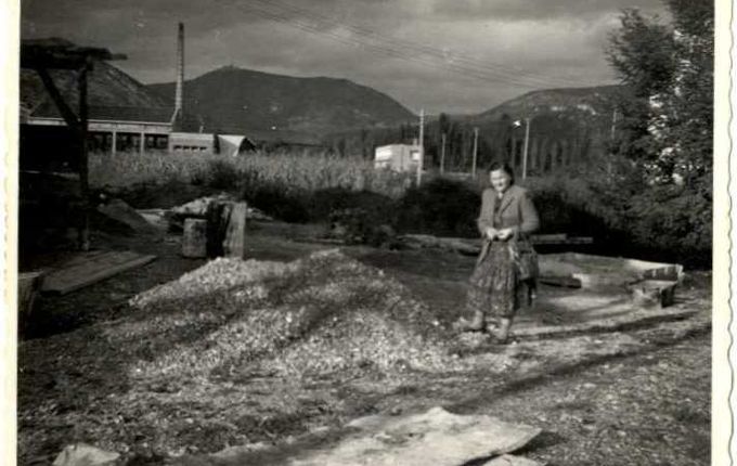 Fotografija na področju, kjer je pozneje zrasel hotel Park. V ozadju dobro vidna frnaža, v celoti območje še popolnoma neurbanizirano (drevesa, trava, makadam). Leto 1953. Vir: kamra.si. https://www.kamra.si/mm-elementi/frnaza-v-ozadju</a> 