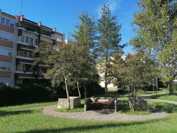 Foto: Blaž Kosovel.  