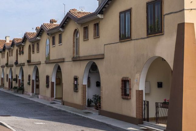 .  &copy;Photo: Blaž Kosovel