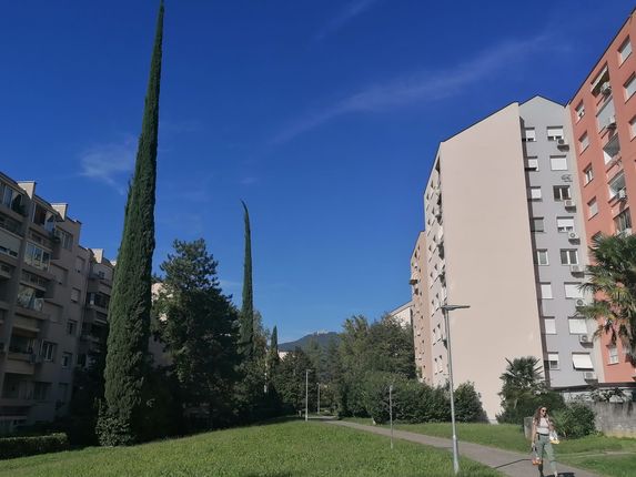 Foto: Blaž Kosovel.  