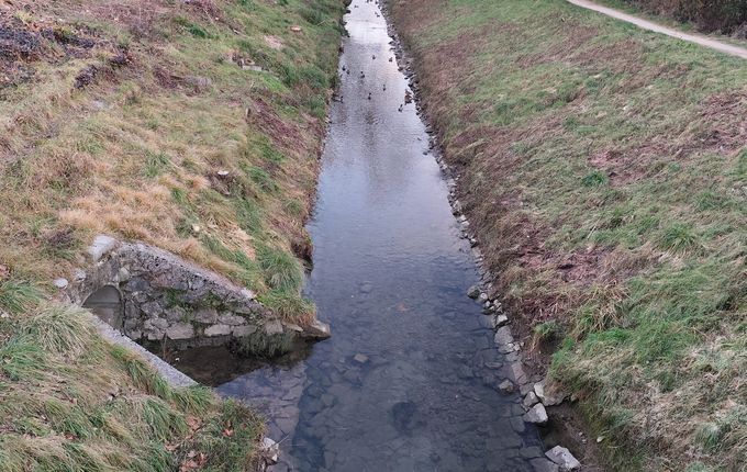 Foto: Blaž Kosovel.  